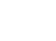Irina Dedusheva Kunstmalerin